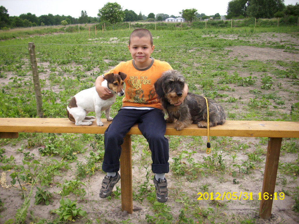 Hundeschule Mensch Hund im Einklang in Oranienburg Tiere Kleinanzeigen