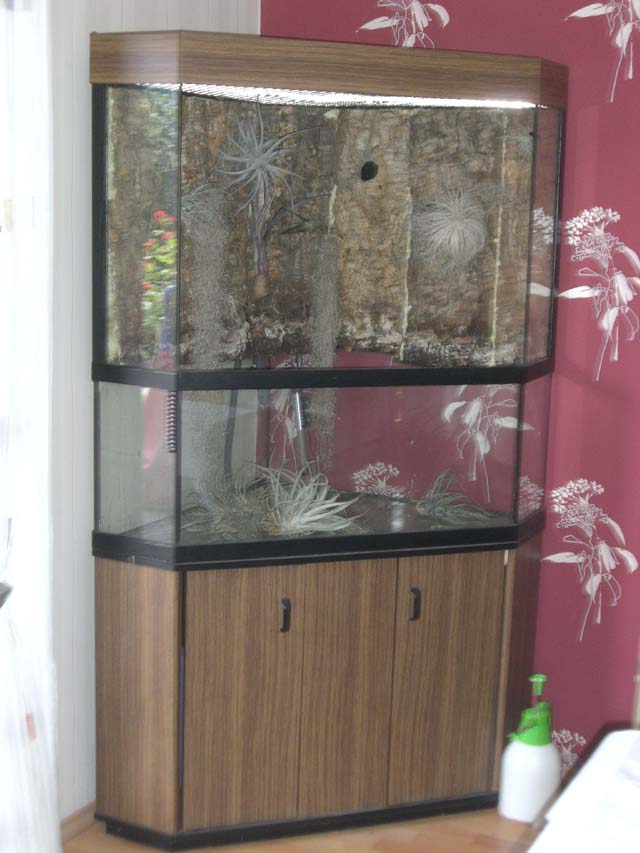 Glas Eckterrarium in Kirn Tiere Kleinanzeigen