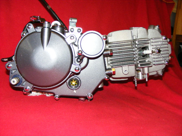 150 cc Lifan Motor für Dax Monkey PBR Madass Pitbike in ...