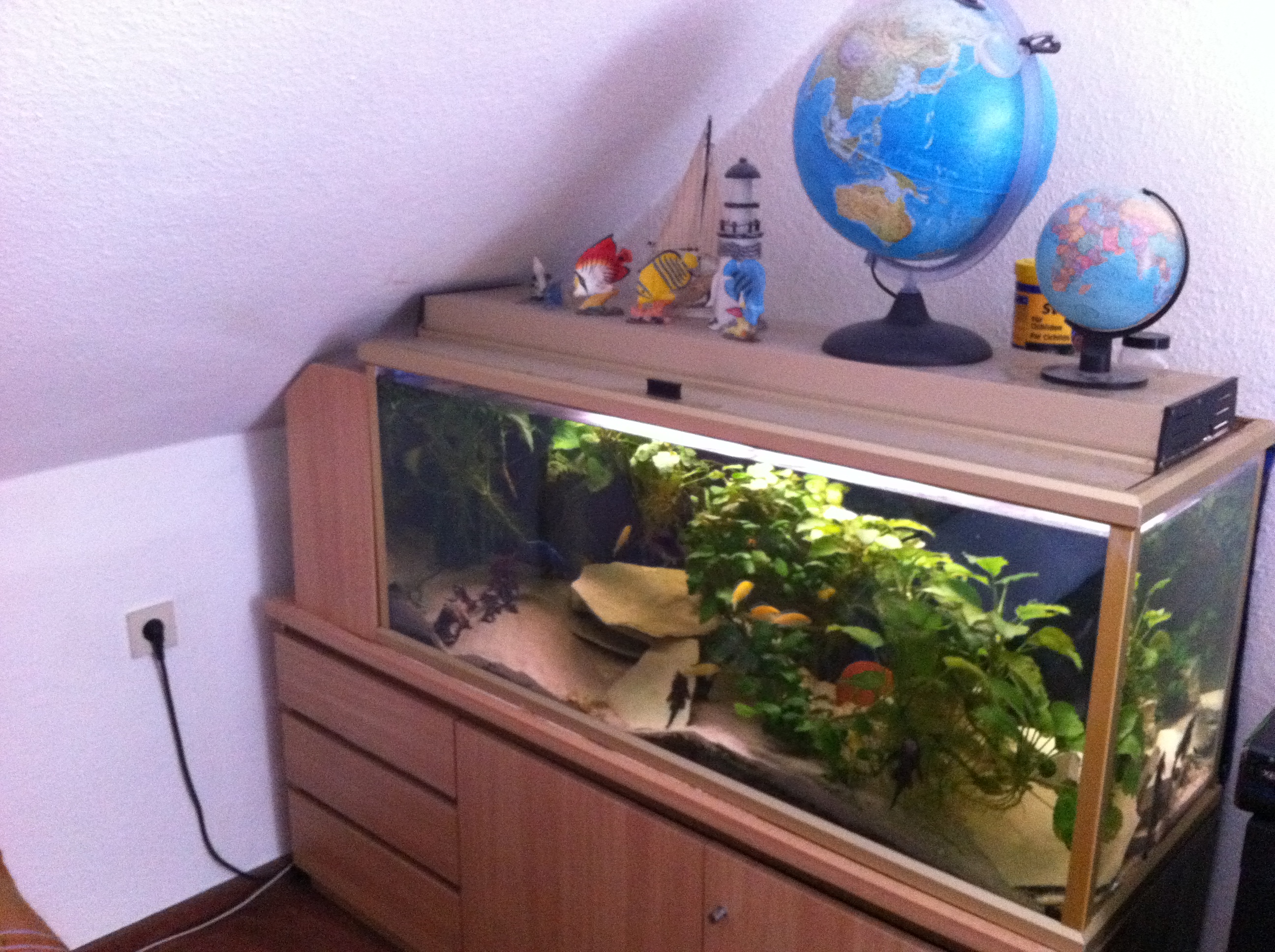 Aquarium 240 mit Unterschrank und jede Menge Zubehör günstig zu