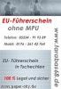 Führerschein EU führerschein ohne MPU