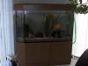 Komplettes 650 Liter Aquarium