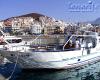 Top FEWO Teneriffa Süd an der Costa Adeje