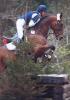 Suche erfahrene,  zuverlässige Reitbeteiligung in 61250 Usingen-Eschbach
