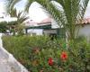 Casa Flori kleines Ferienhaus an der Costa Calma