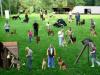 Hundeschule,  Hundetraining, 