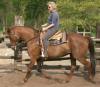 Reiten Reiten Reiten,  bei Hannover