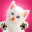 SMS Chatter gesucht