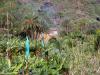 Die kleine Finca im Norden von Teneriffa