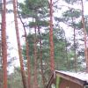Waldgrundstück