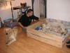 Golden Retriever reinrassig Welpen ohne Papiere