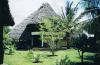 Diani Beach /  Kenia /  Villa Koralle /  Bougain Villas