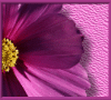 mediales Kartenlegen,  Reiki