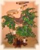 http:/ / www.magiccats.de