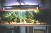 Aquarium 600 L abzugeben