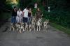 Sehr selten! Tschechoslowakischer Wolfshund