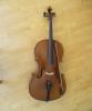4/ 4 Violoncello  - Markneukirchener Instrument aus der Mitte des 19.Jh.