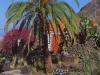 Casa la Pintora auf Gran Canaria - Private Ferienwohnung