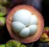 Gesund mit MANGOSTAN!!!!