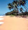    SRI LANKA Beruwela,  Ü.mit F. = 10, 00 Euro pro Person