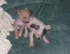 Ricardo und Betty