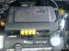 AUTOGAS GROSSHANDEL FROGA