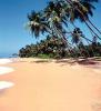 SRI LANKA,  Beruwela,  Ü.F. 10, 00 Euro. Preisw. Rundreisen
