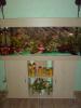 Verk. AQ, 240l mit unterschr., zubeh. und Besatz(Barsche Welse)