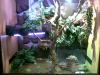 Reptilien Holzterrarium mit Glasfront VB 250 €