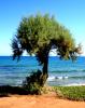 Kreta,  4-Sterne-Hotel,  All Inclusive  Flug ab 399 €