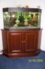 Eckaquarium