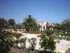 Überwintern an der Costa Blanca