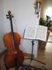 Cello (3/ 4),  sehr guter Zustand,  zu verkaufen