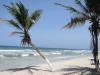 Venezuela,  Isla de Coche,  All Inclusive  Flug ab 669 Euro
