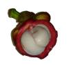 Mangostansaft - Vitamine,  Xanthone und 73 Mineralien
