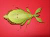 Phyllium siccifolium DAS ! Wandelnde Blatt