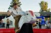 Kuh-Elza - Bullriding