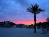 LAST MINUTE Mallorca ab 195  €