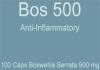Boswellia 500 mg (Weihrauch)