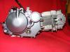 150 cc Lifan Motor für Dax-Monkey-PBR-Madass-Pitbike
