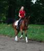 Hallo liebe Ponybesitzer! =D