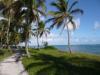 Dom.Rep. DZ/ AI, Flug ab 279€