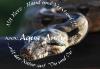 Boa constrictor /  Lichanura trivirgata trivirgata