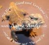 Veränderliche Dornschwanzagame - Uromastyx acanthinura