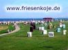 Ostfriesland und Friesland Ferienunterkunft an der Nordsee
