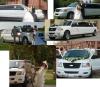 Limousinein,  Stretchlimousine in Freiburg,  Baden Württemberg