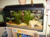  Aquarium mit viel Zubehör    TOP    wegen Hobbyaufgabe 