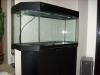 Juwel-Panorama - Aquarium