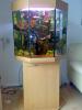 Achteck Aquarium komplett