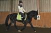 Verkaufe mein Pony 7j 1, 47 dringend!!